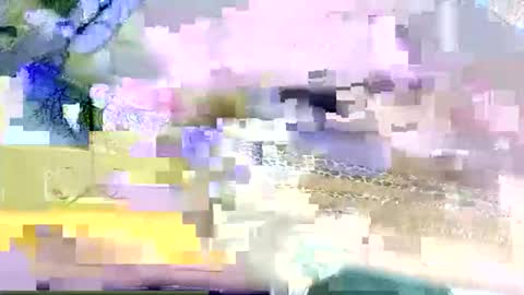 beencee2 online show from 03/09/26, 05:22