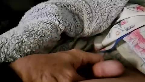 Snapshot of beepermon chatting on 09/22/25, 12:51 beepermon online show from 09/22/25, 12:51