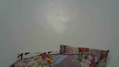 Snapshot of beeswee chatting on 12/19/24, 06:01 beeswee online show from 12/19/24, 06:01