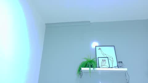 BELA online show from 11/20/25, 11:32