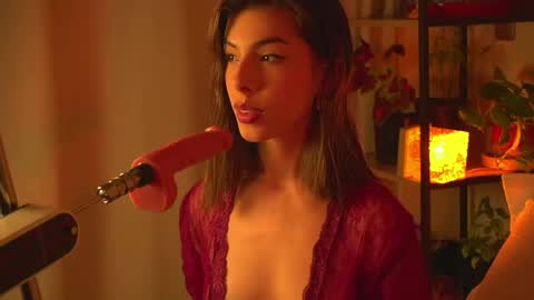 Bel  online show from 04/20/26, 09:05