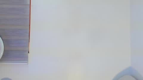 Snapshot of bella_hadid1_ chatting on 04/29/26, 06:14 Laura online show from 04/29/26, 06:14