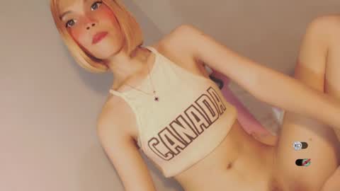 Snapshot of bella_tara chatting on 12/28/24, 07:33 Bella online show from 12/28/24, 07:33