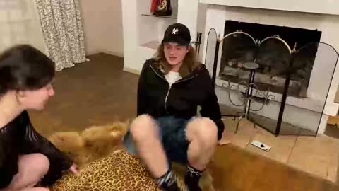 Baila online show from 11/12/25, 09:58