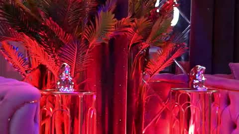 Bella online show from 02/09/26, 06:23