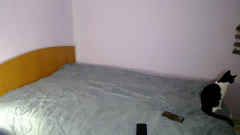 bellaqueen0701 online show from 03/06/25, 05:33