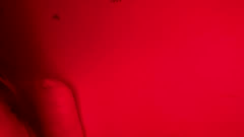 Snapshot of belle_marie chatting on 11/09/25, 08:12 Belle xx online show from 11/09/25, 08:12