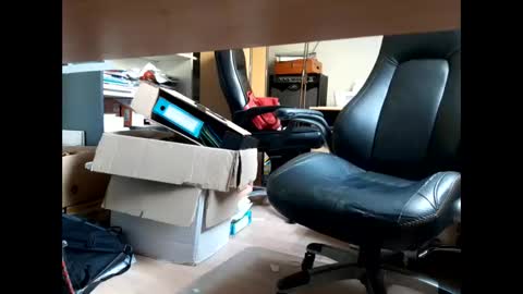 Bellebate online show from 04/23/26, 01:13