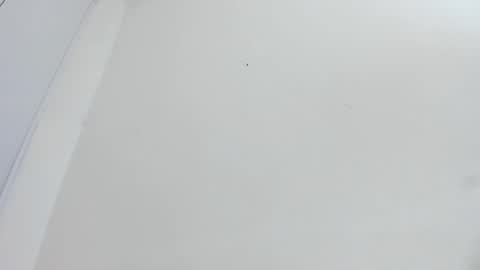 Bellota Flak online show from 12/15/25, 05:55