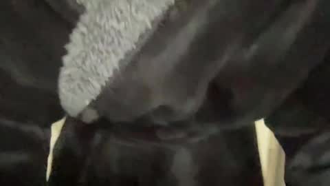 Snapshot of benwardle123 chatting on 03/07/25, 03:28 READ MY BIO ---  --- READ MY BIO online show from 03/07/25, 03:28