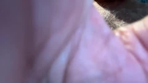 benz10001 online show from 09/13/25, 12:49