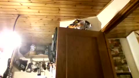 Snapshot of bernichaos77 chatting on 02/21/26, 02:34 bernichaos77 online show from 02/21/26, 02:34