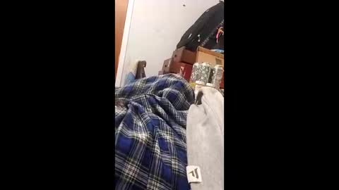 bertpace9296 online show from 05/23/26, 03:34