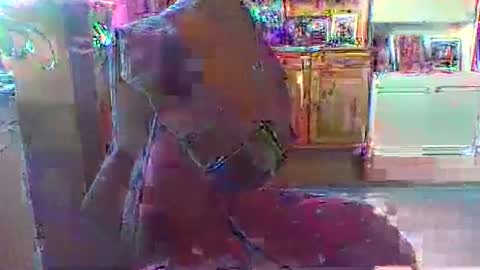 bestmann979994 online show from 03/01/26, 04:20