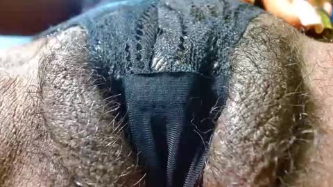 Bethany Wilson online show from 01/24/25, 03:34