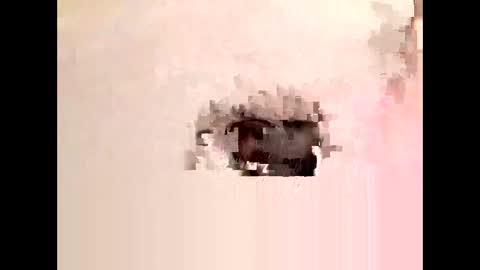Cock arabic Authentic online show from 11/11/25, 08:42