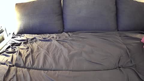 Snapshot of bfox254 chatting on 02/23/25, 12:19 Brian Fox online show from 02/23/25, 12:19