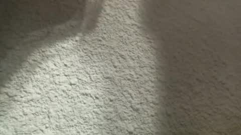 Snapshot of bgf32054 chatting on 03/12/25, 04:41 Bigfish123 online show from 03/12/25, 04:41