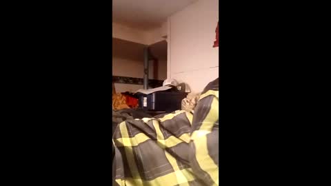 bgiamba21 online show from 05/15/26, 05:14