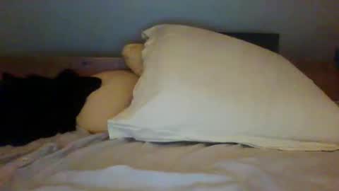 bibipheuck online show from 11/13/25, 12:04