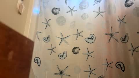 big535338 online show from 11/17/25, 04:13