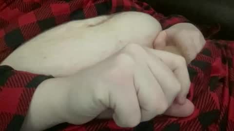 Big Pesch online show from 04/24/26, 04:26