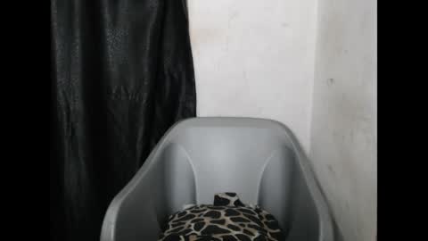 bigassdrip online show from 04/21/26, 07:06