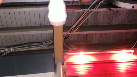 Straight Dave online show from 10/09/25, 10:08