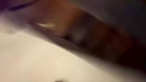 bigballsandcock777 online show from 09/09/25, 02:11