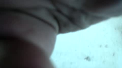 arab bbc online show from 04/08/26, 04:45