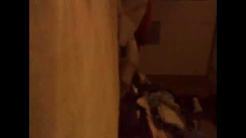 BB online show from 11/13/25, 03:05