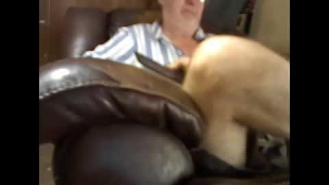 BB online show from 11/26/25, 04:41