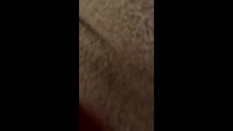 Lolipopped online show from 01/10/25, 11:50