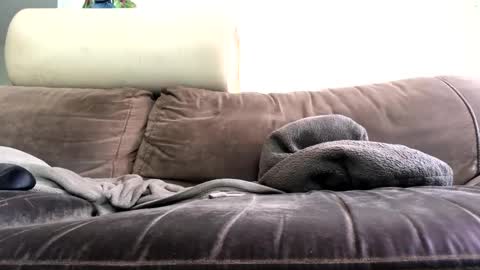 bigboadick online show from 10/31/25, 02:18