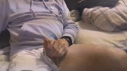 L e g a l    S t u f f Any UNAUTHORIZED use of this profile video pictures or audio in any form or in a forum now or in the fu online show from 03/03/25, 04:58