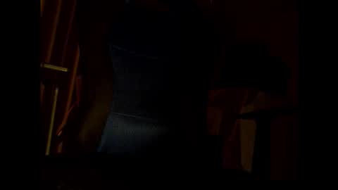 Snapshot of bigbro0007 chatting on 11/25/25, 07:03 bigbro0007 online show from 11/25/25, 07:03