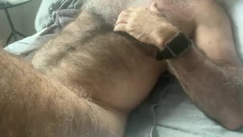 Snapshot of bigbush1 chatting on 02/11/25, 12:49 big bush online show from 02/11/25, 12:49