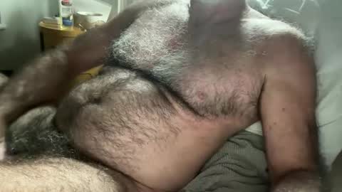 big bush online show from 02/12/26, 09:43