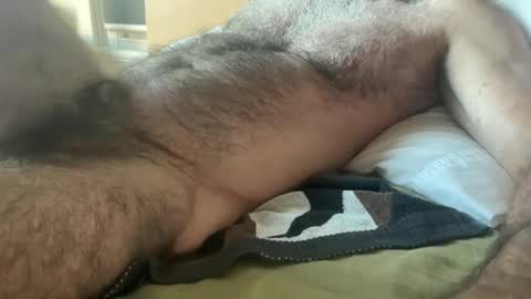 big bush online show from 04/23/26, 09:28