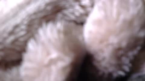 BigDad14140 online show from 04/26/26, 09:51