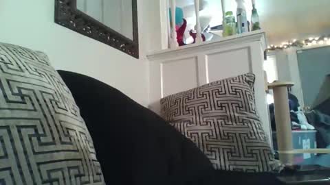 Snapshot of bigdaddy1231995 chatting on 02/09/26, 08:35 BigDaddykodack online show from 02/09/26, 08:35