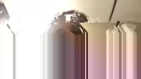 Snapshot of bigdaddy1988_ chatting on 11/03/25, 06:14 Big Daddy 1988 S online show from 11/03/25, 06:14