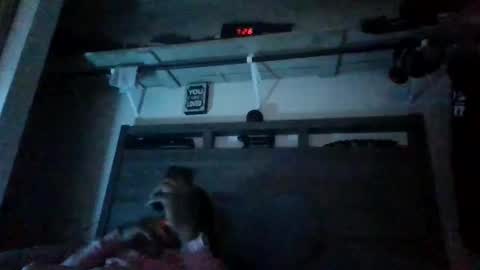 Snapshot of bigdickdaddy3200798456 chatting on 12/28/24, 01:08 bigdickdaddy3200798456 online show from 12/28/24, 01:08