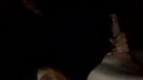 bigdickdangles472924 online show from 07/25/26, 09:45