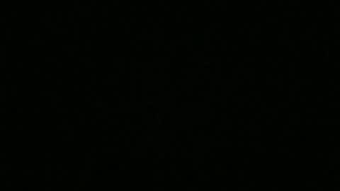 Snapshot of bigdickfitdude34 chatting on 09/14/25, 12:54 bigdickfitdude34 online show from 09/14/25, 12:54