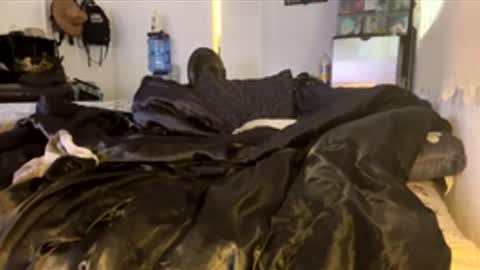 bigdickpapishampoo online show from 02/04/26, 06:47