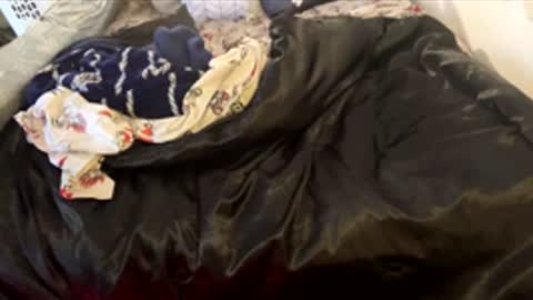 bigdickpapishampoo online show from 02/07/26, 06:44