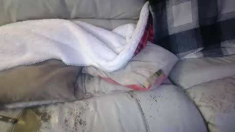 Snapshot of bigdicktrannynicole chatting on 01/21/25, 02:11 bigdicktrannynicole online show from 01/21/25, 02:11