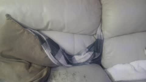 Snapshot of bigdicktrannynicole chatting on 01/30/25, 10:19 bigdicktrannynicole online show from 01/30/25, 10:19