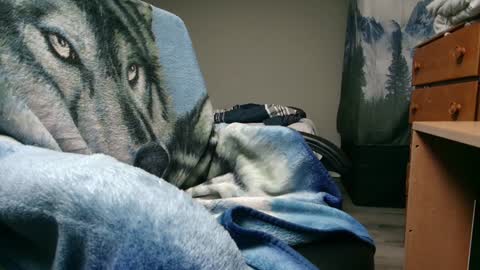 Snapshot of bigdickyduby chatting on 12/09/24, 05:40 George Forest Dickyduby on all Socials online show from 12/09/24, 05:40